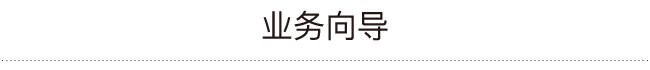 业务向导